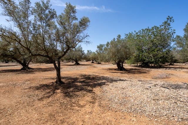 Finca/Casa di Campagna in vendita in Roquetes - 12.000 € (Rif: 8215312)