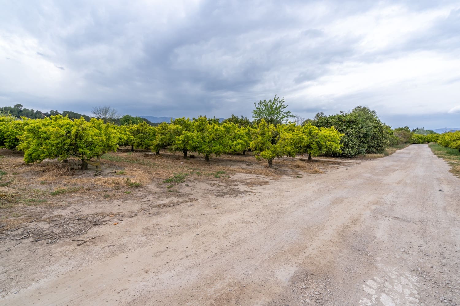 1 soveværelse Finca/Landehus til salg i Bitem med swimmingpool - € 126.000 (Ref: 8248150)