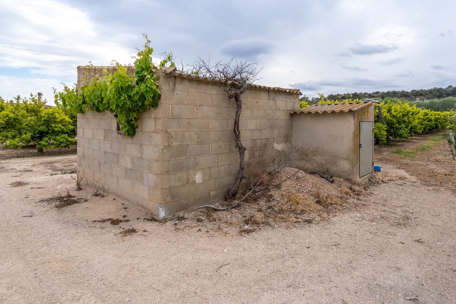 1 soveværelse Finca/Landehus til salg i Bitem med swimmingpool - € 126.000 (Ref: 8248150)