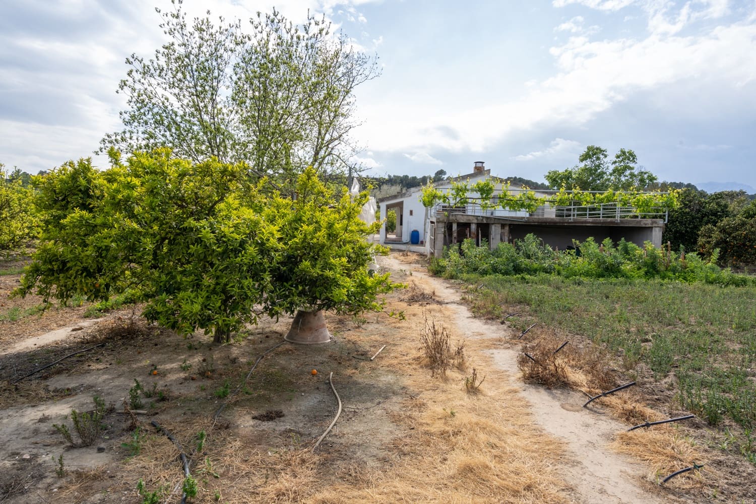 1 soveværelse Finca/Landehus til salg i Bitem med swimmingpool - € 126.000 (Ref: 8248150)