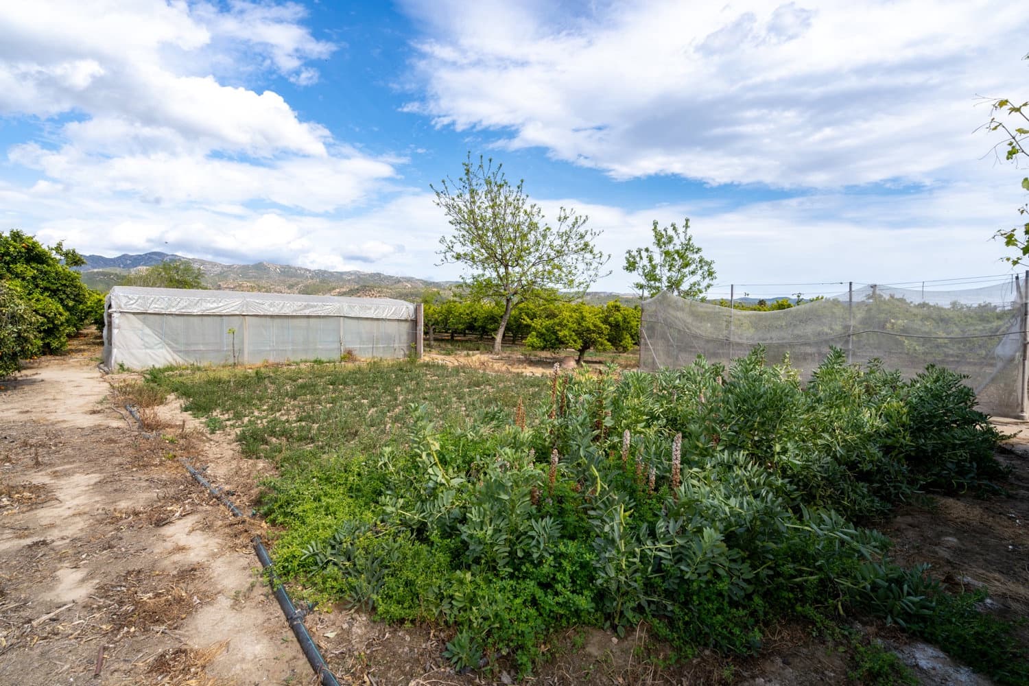1 soverom Finca/Herregård til salgs i Bitem med svømmebasseng - € 126 000 (Ref: 8248150)