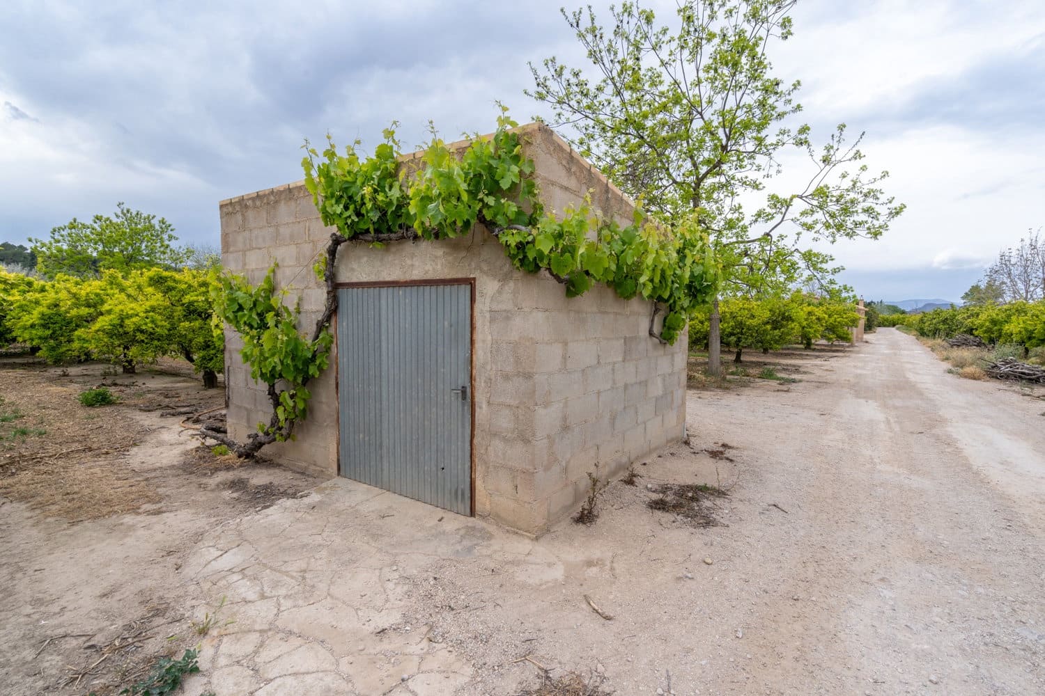 1 soverom Finca/Herregård til salgs i Bitem med svømmebasseng - € 126 000 (Ref: 8248150)