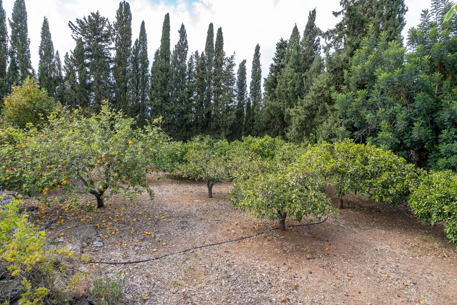 5 sypialnia Willa na sprzedaż w Tortosa - 227 000 € (Ref: 8249582)