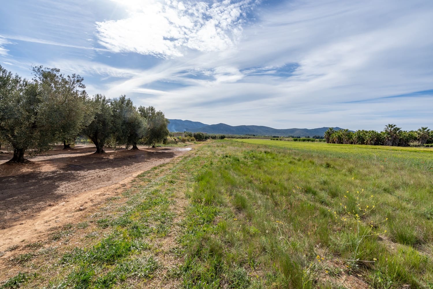 Finca/Herregård til salgs i Ulldecona - € 29 000 (Ref: 8251675)