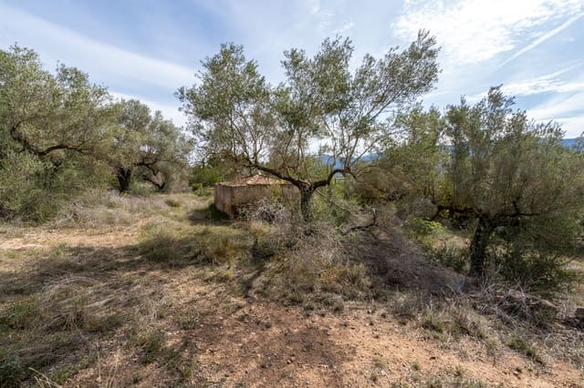 Finca/Herregård til salgs i Ulldecona - € 29 000 (Ref: 8251675)