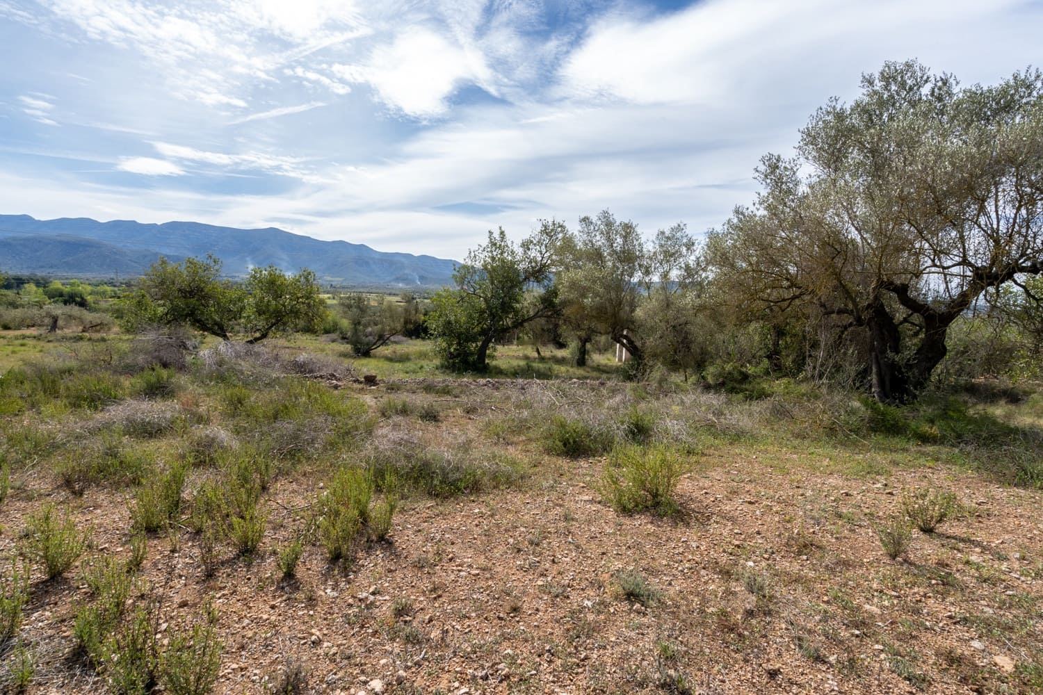 Finca/Herregård til salgs i Ulldecona - € 29 000 (Ref: 8251675)