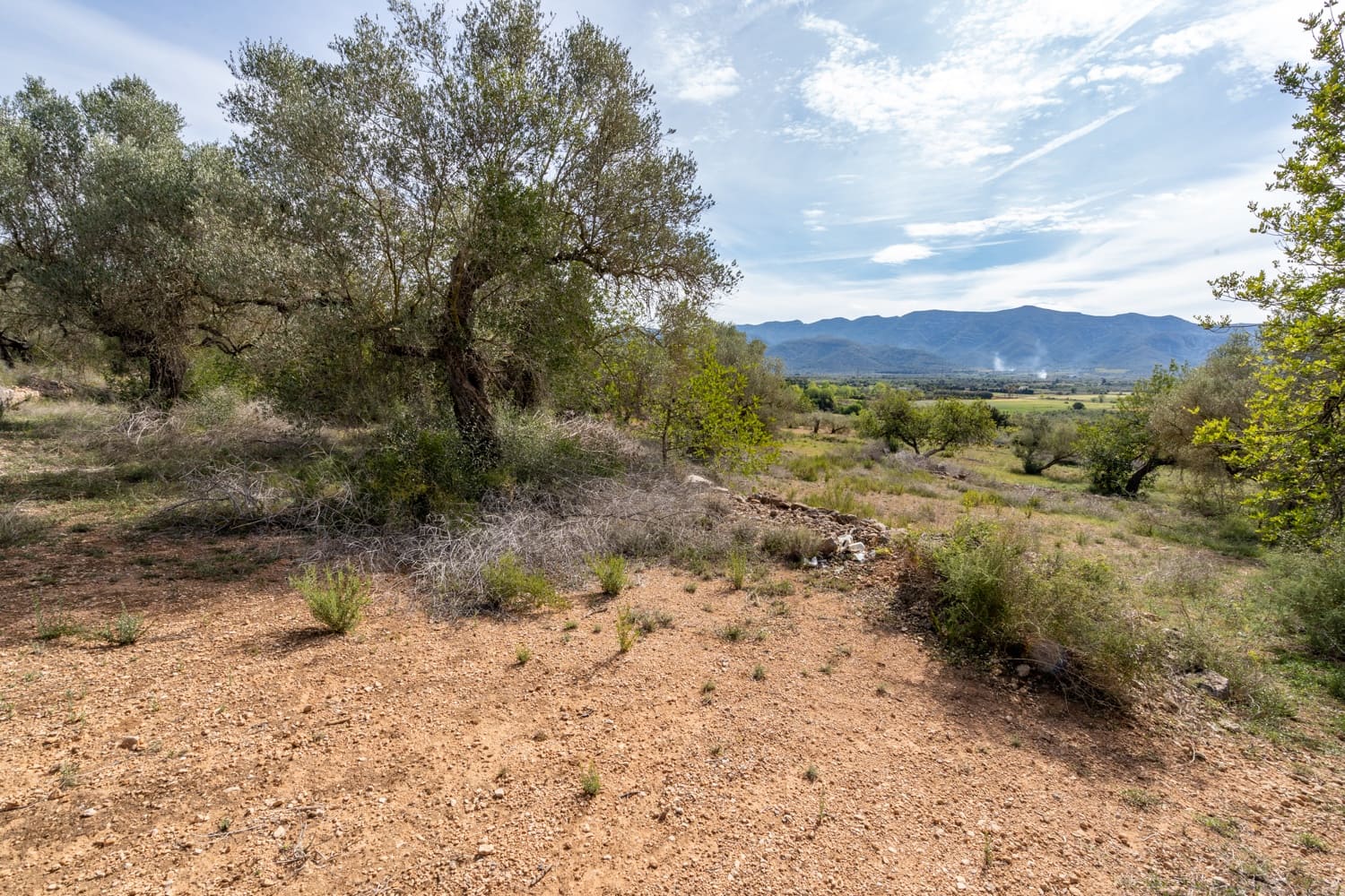 Finca/Herregård til salgs i Ulldecona - € 29 000 (Ref: 8251675)