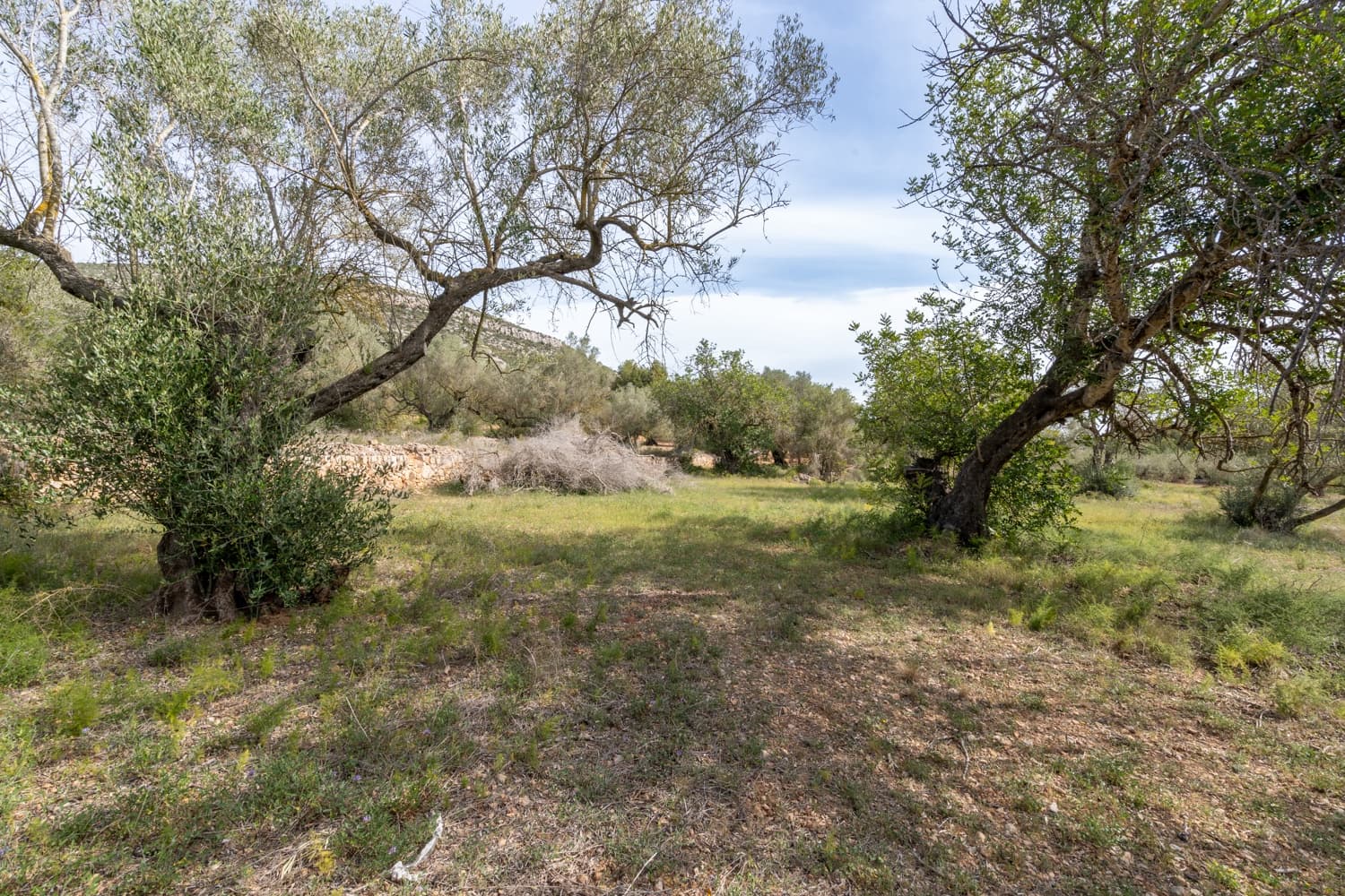 Finca/Herregård til salgs i Ulldecona - € 29 000 (Ref: 8251675)