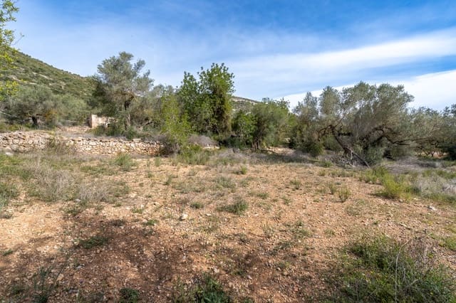 Quinta/Casa Rural para venda em Ulldecona - 29 000 € (Ref: 8251675)