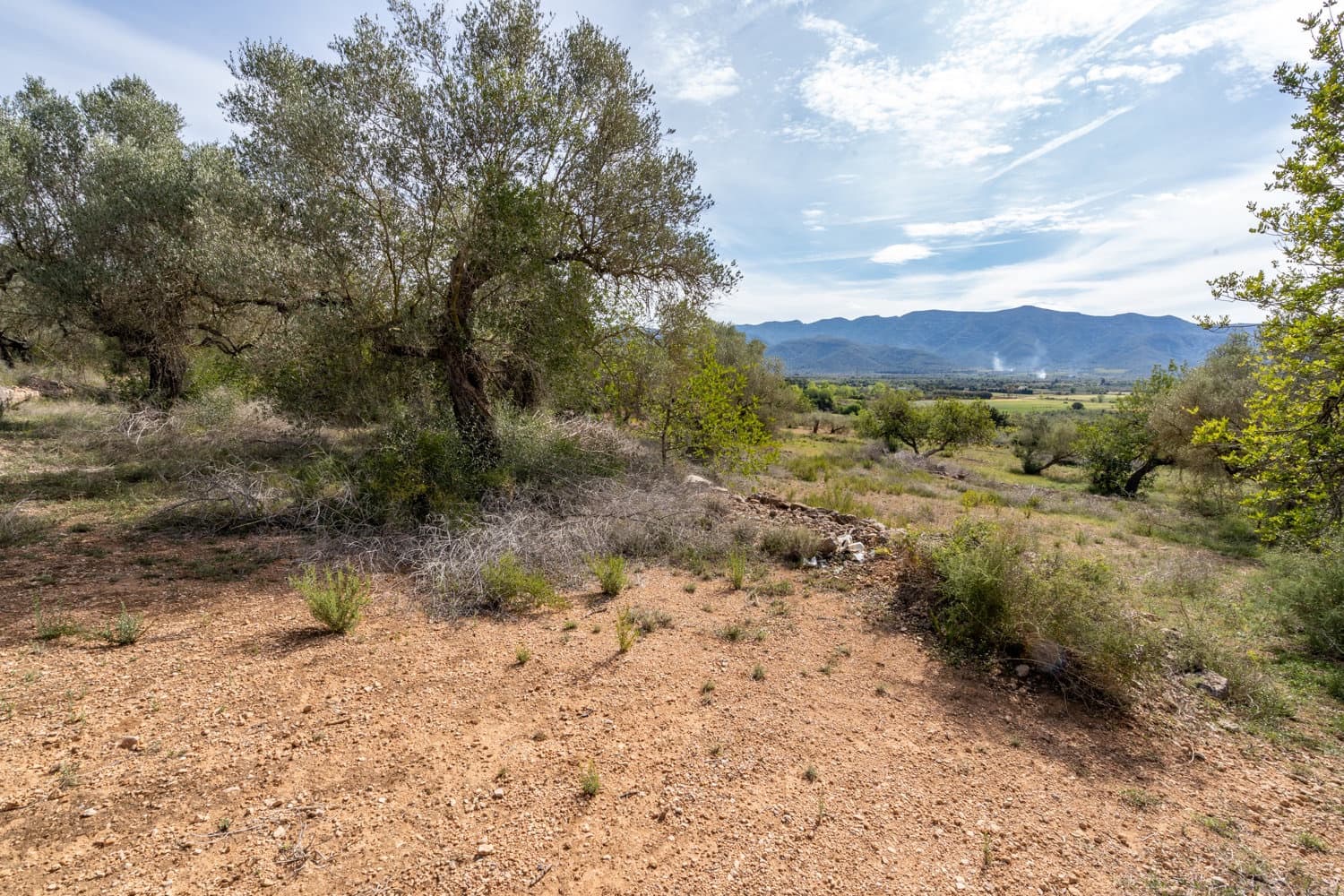 Quinta/Casa Rural para venda em Ulldecona - 29 000 € (Ref: 8251675)
