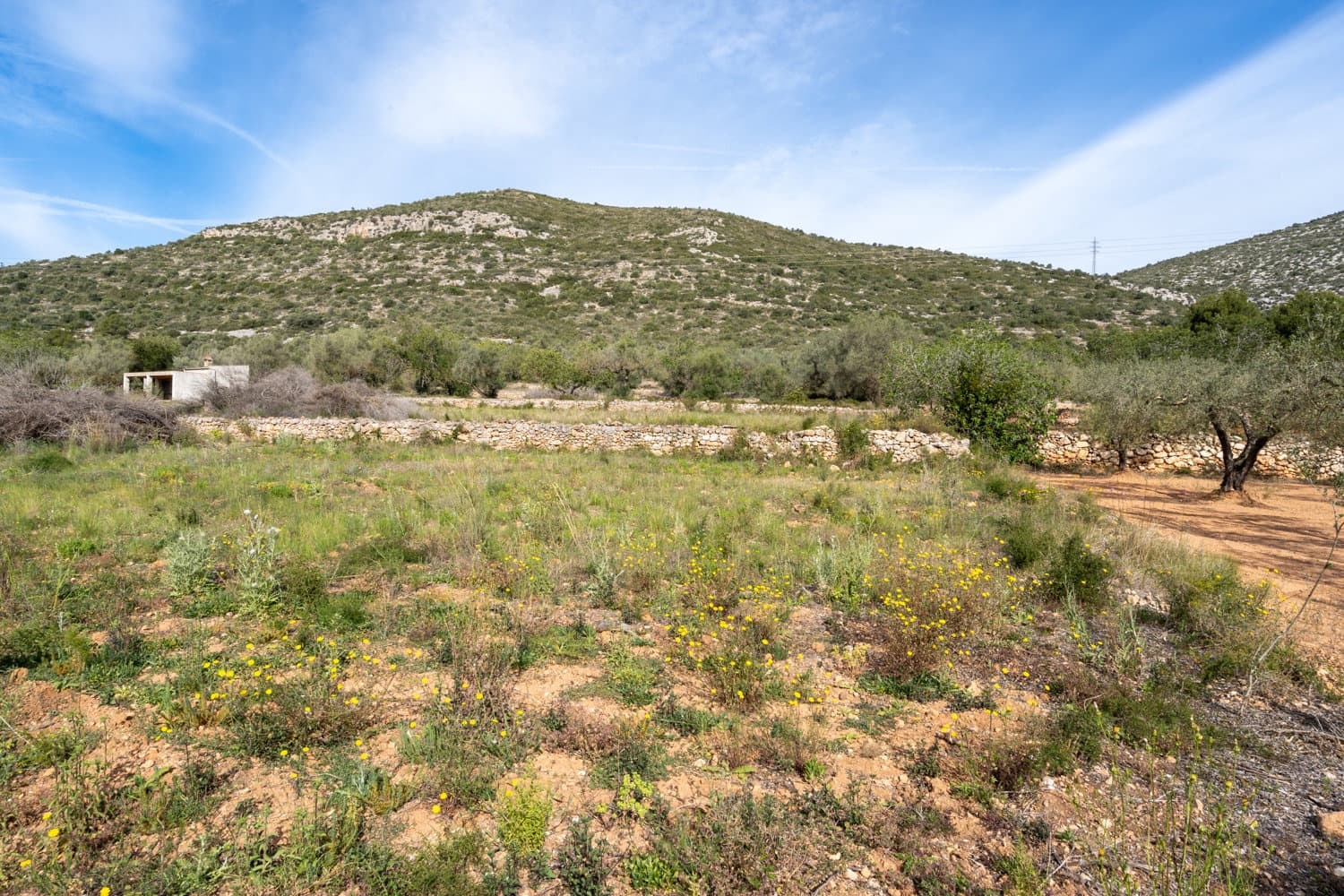 Quinta/Casa Rural para venda em Ulldecona - 29 000 € (Ref: 8251675)