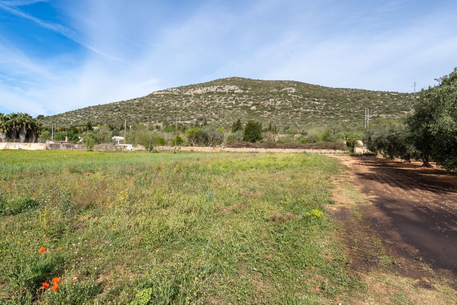 Quinta/Casa Rural para venda em Ulldecona - 29 000 € (Ref: 8251675)