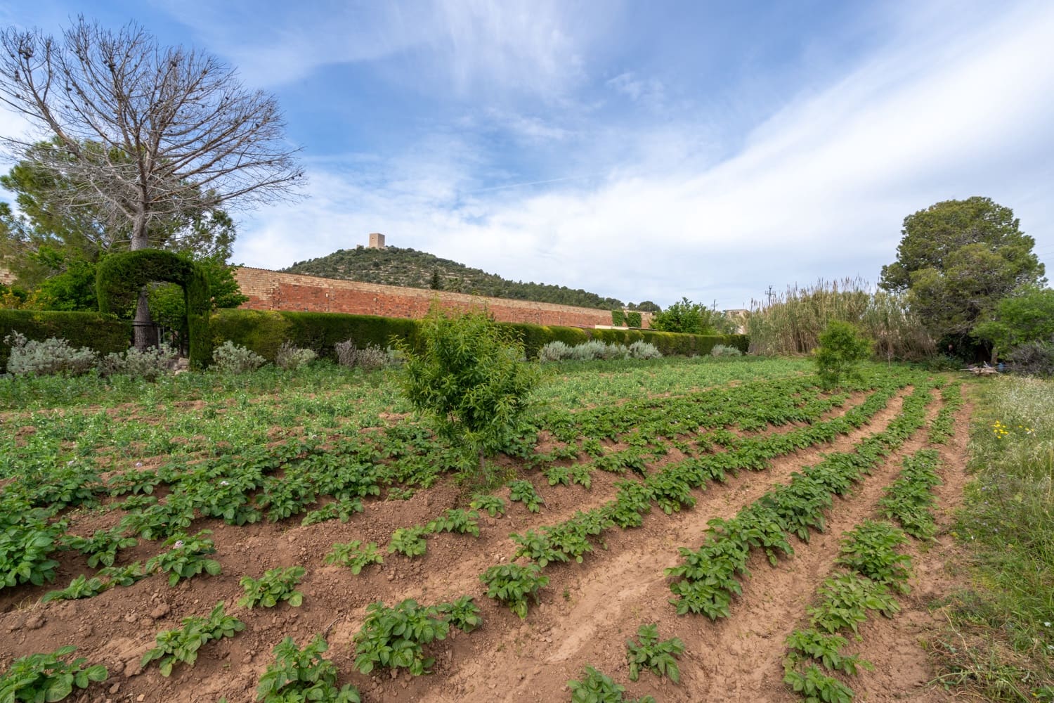 Finca/Maison de Campagne à vendre à Ulldecona - 30 000 € (Ref: 8263826)