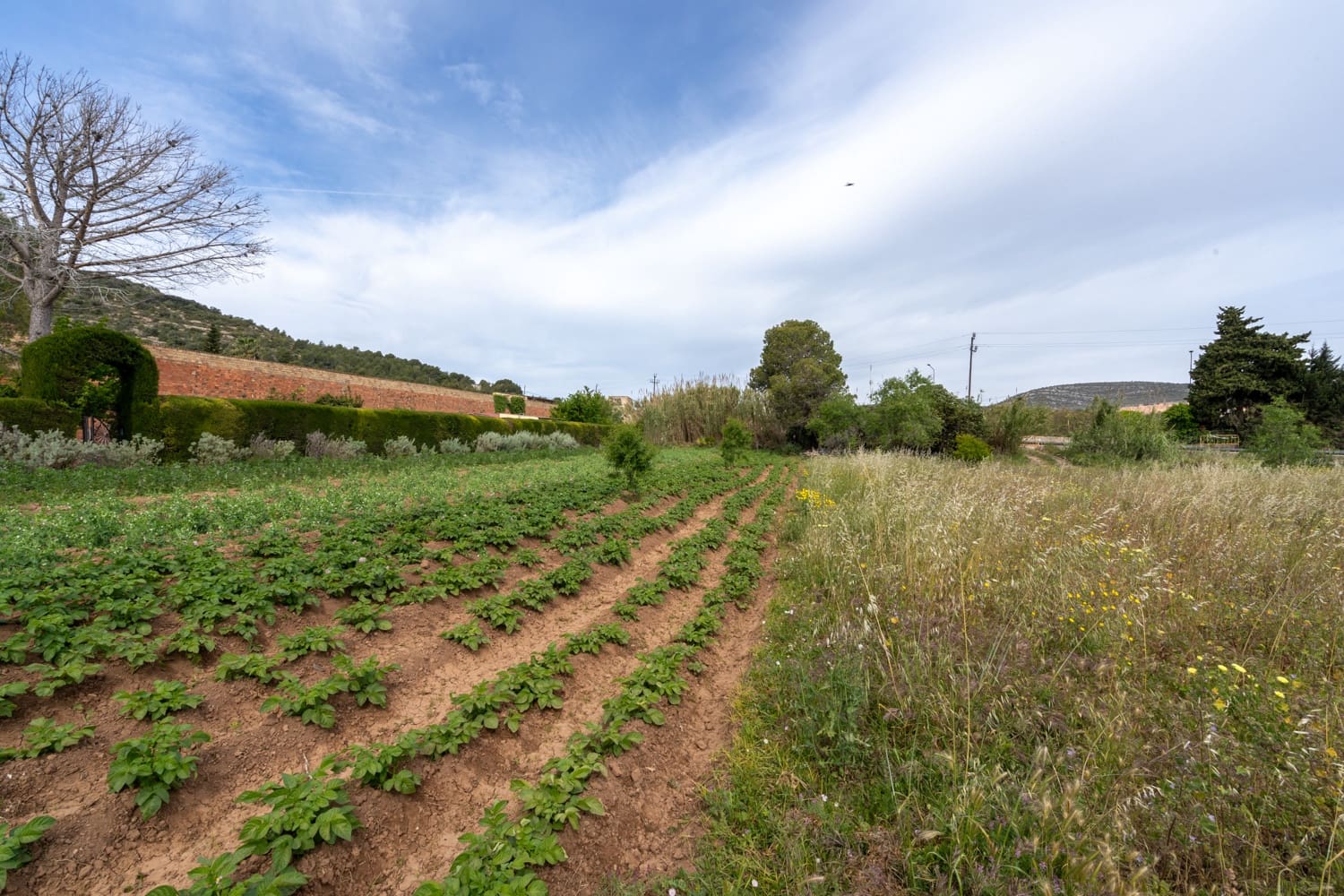 Finca/Maison de Campagne à vendre à Ulldecona - 30 000 € (Ref: 8263826)