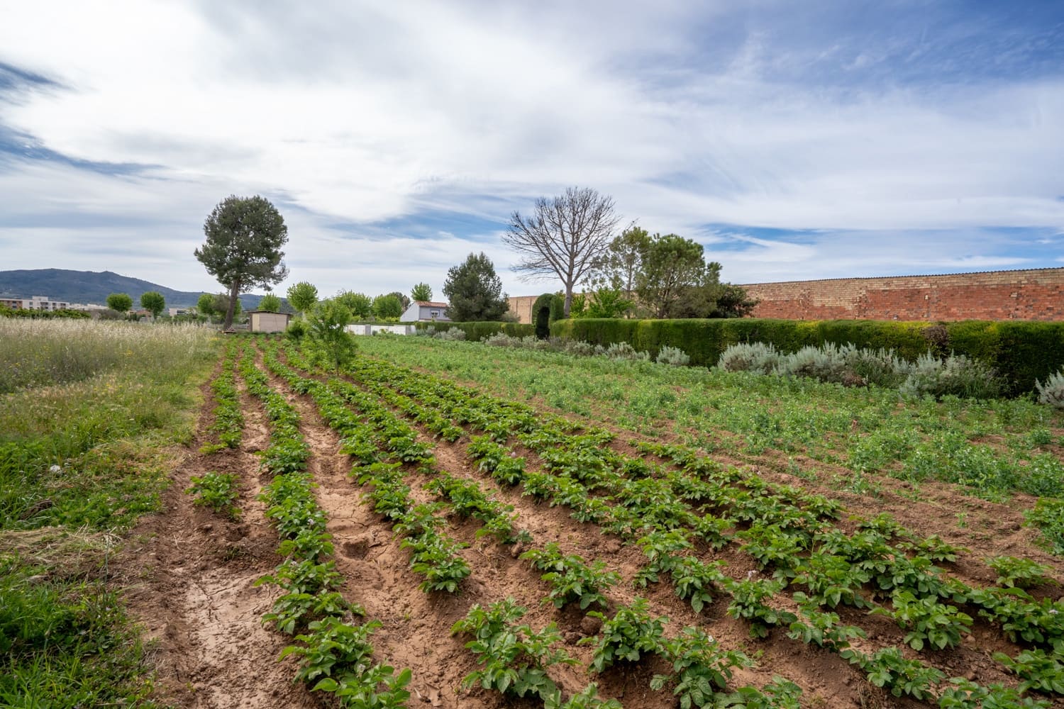 Finca/Maison de Campagne à vendre à Ulldecona - 30 000 € (Ref: 8263826)