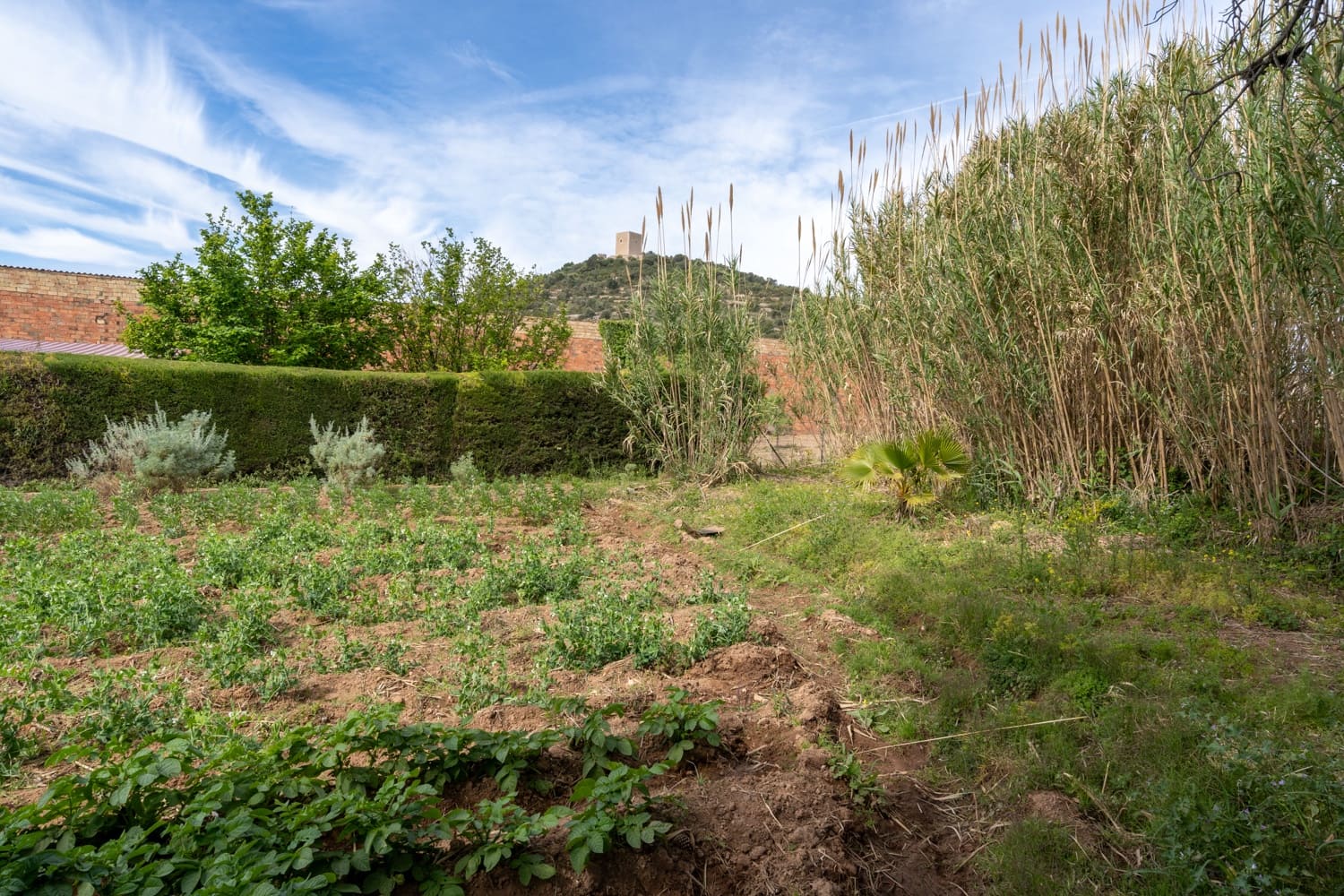 Finca/Maison de Campagne à vendre à Ulldecona - 30 000 € (Ref: 8263826)