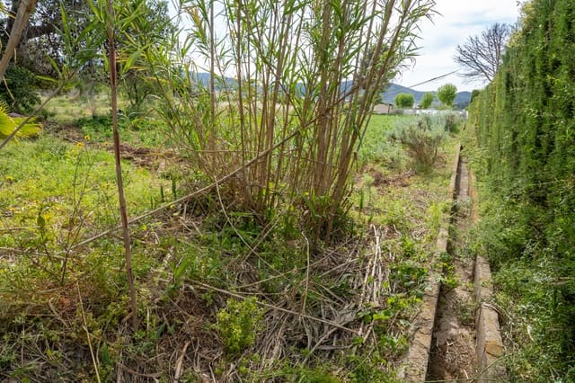 Finca/Country House for sale in Ulldecona - € 30,000 (Ref: 8263826)