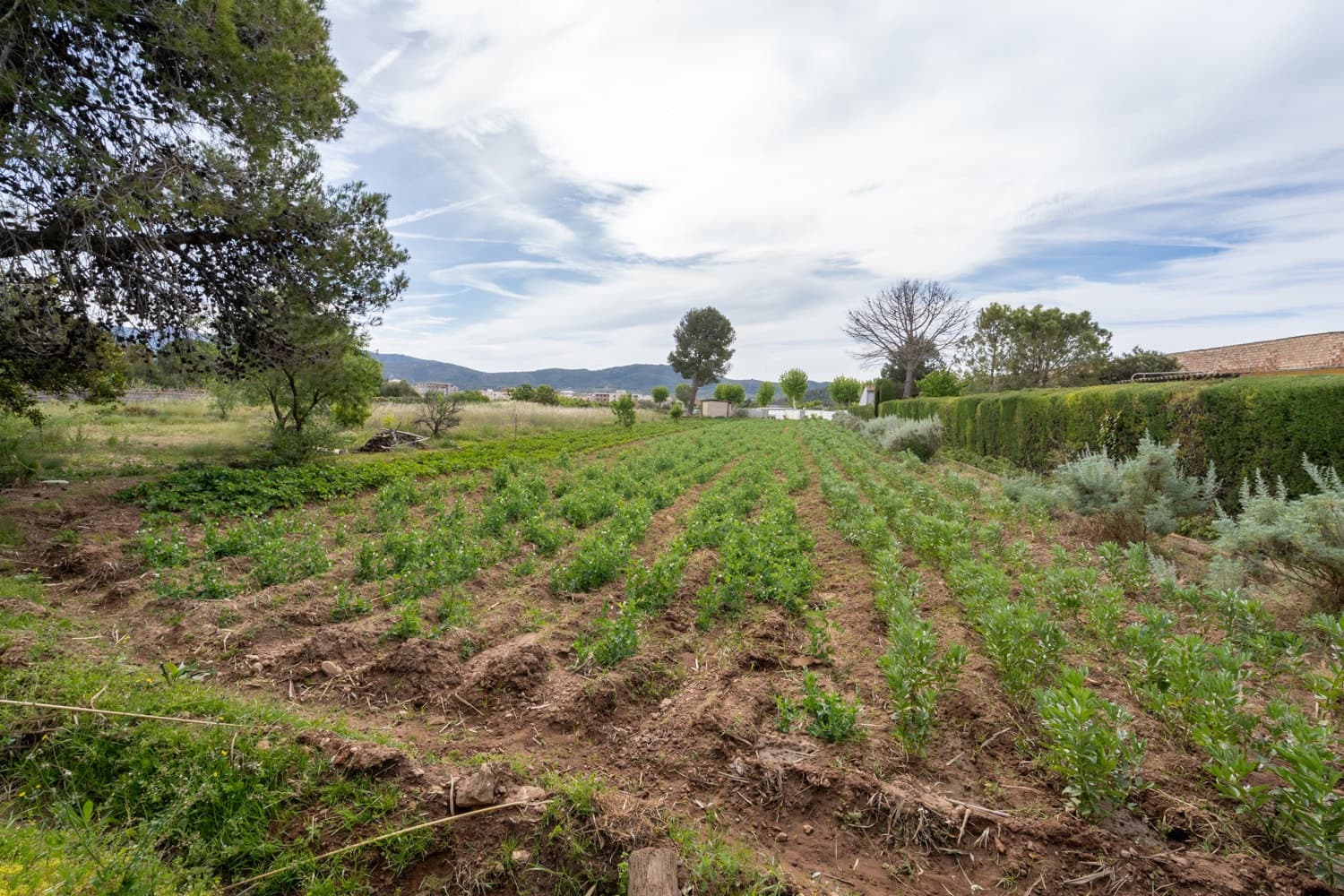 Finca/Landhuis te koop in Ulldecona - € 30.000 (Ref: 8263826)