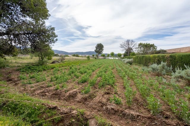 Quinta/Casa Rural para venda em Ulldecona - 30 000 € (Ref: 8263826)