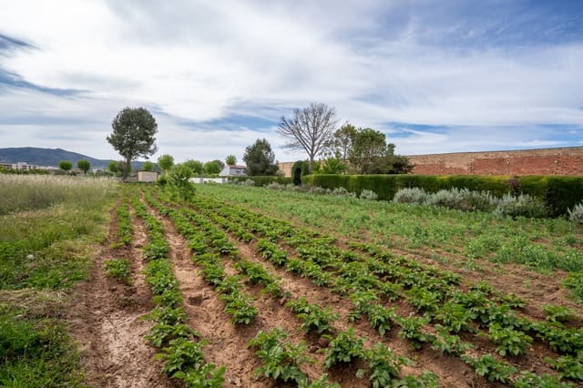 Quinta/Casa Rural para venda em Ulldecona - 30 000 € (Ref: 8263826)