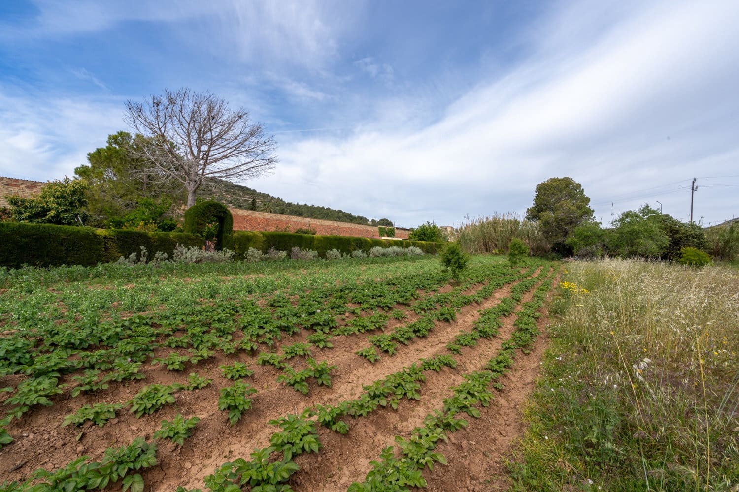Finca/Landhuis te koop in Ulldecona - € 30.000 (Ref: 8263826)