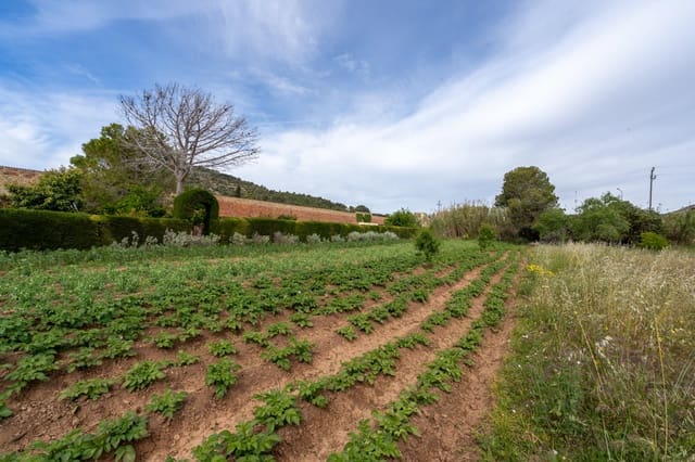 Quinta/Casa Rural para venda em Ulldecona - 30 000 € (Ref: 8263826)