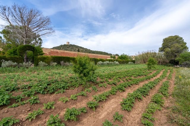 Quinta/Casa Rural para venda em Ulldecona - 30 000 € (Ref: 8263826)