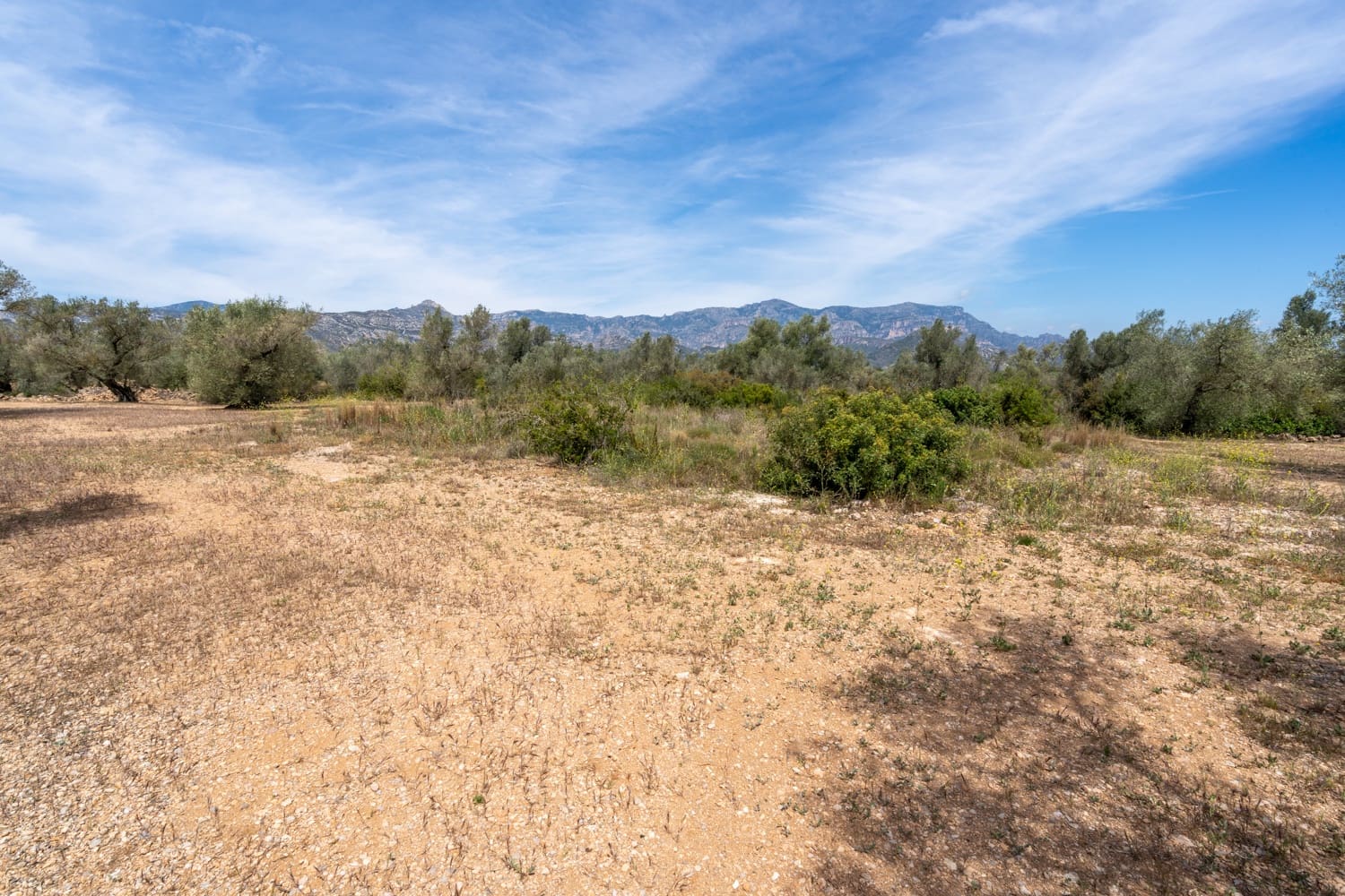 Finca/Herregård til salgs i Mas de Barberans - € 27 500 (Ref: 8288423)