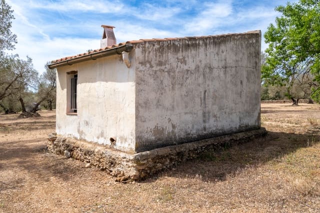 Finca/Herregård til salgs i Mas de Barberans - € 27 500 (Ref: 8288423)