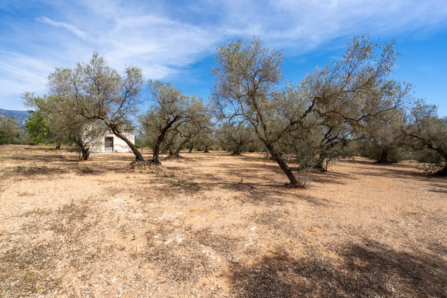 Finca/Herregård til salgs i Mas de Barberans - € 27 500 (Ref: 8288423)