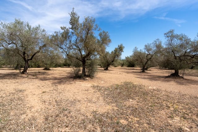 Finca/Herregård til salgs i Mas de Barberans - € 27 500 (Ref: 8288423)