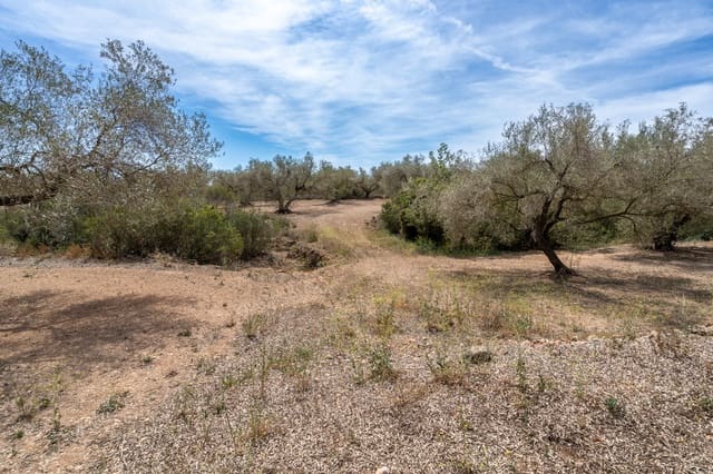 Finca/Casa Rural en Mas de Barberans en venta - 27.500 € (Ref: 8288423)