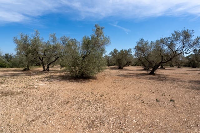 Finca/Casa Rural en Mas de Barberans en venta - 27.500 € (Ref: 8288423)