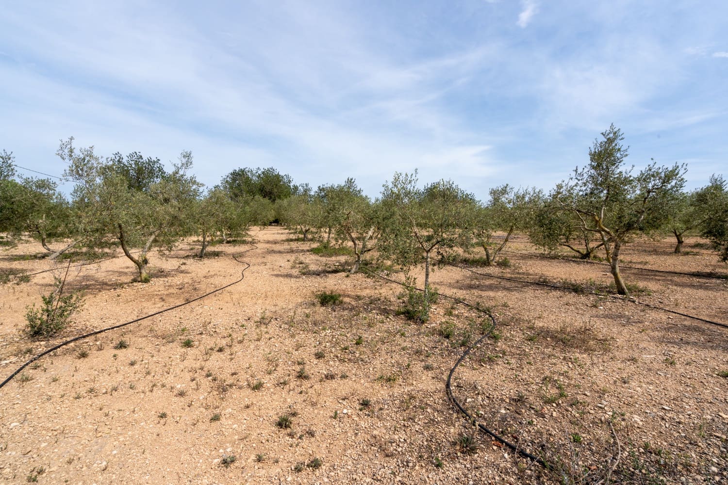 1 chambre Finca/Maison de Campagne à vendre à Tortosa - 74 000 € (Ref: 8298434)