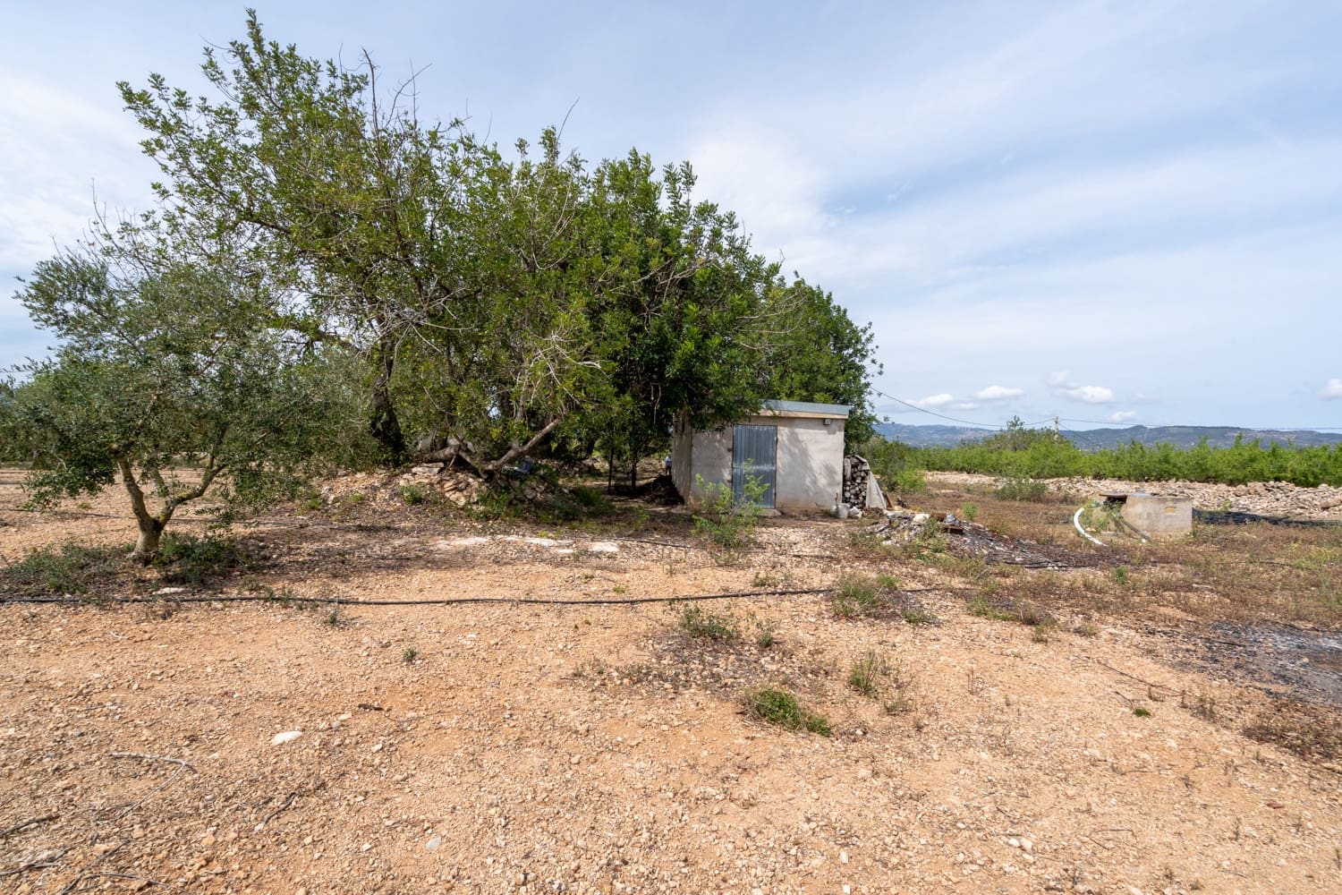 1 chambre Finca/Maison de Campagne à vendre à Tortosa - 74 000 € (Ref: 8298434)