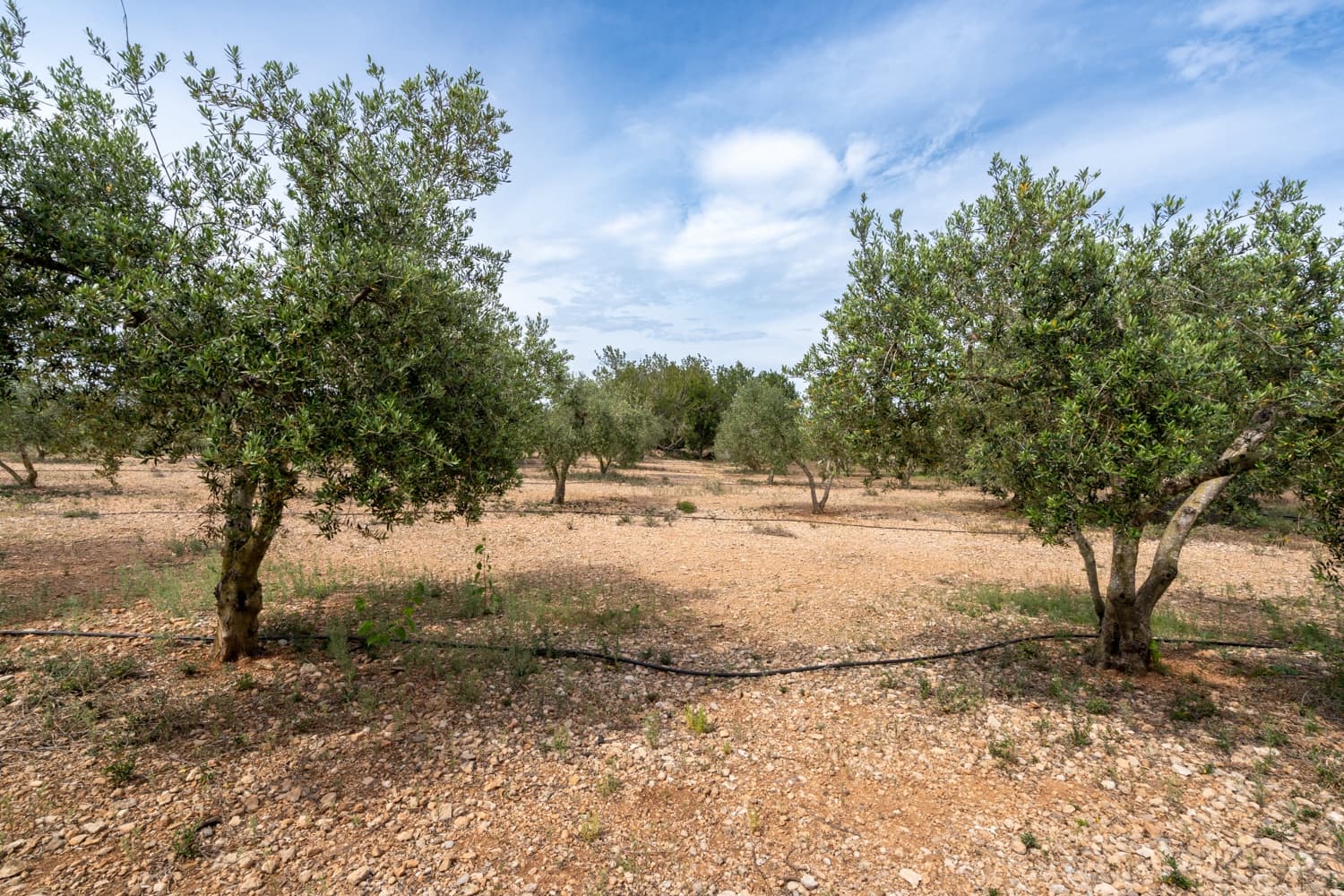 1 chambre Finca/Maison de Campagne à vendre à Tortosa - 74 000 € (Ref: 8298434)