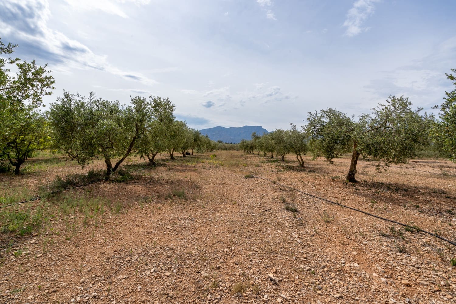 1 chambre Finca/Maison de Campagne à vendre à Tortosa - 74 000 € (Ref: 8298434)