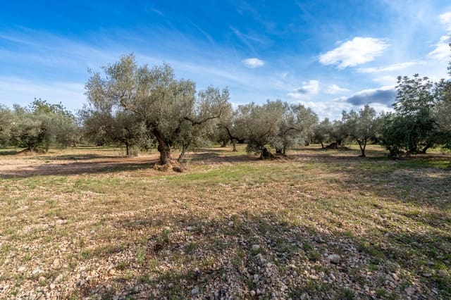 Quinta/Casa Rural para venda em Roquetes - 43 000 € (Ref: 8321102)