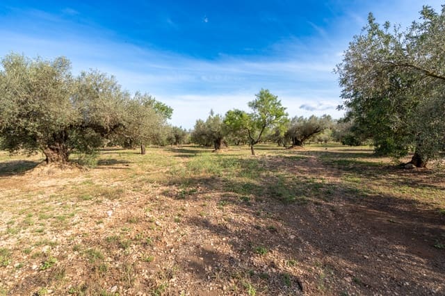 Quinta/Casa Rural para venda em Roquetes - 43 000 € (Ref: 8321102)