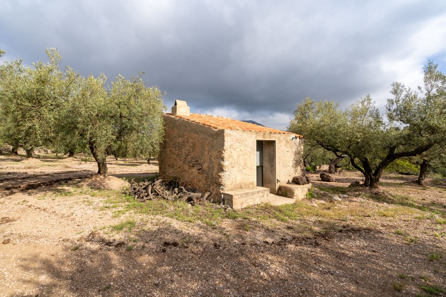 Finka/Dom wiejski na sprzedaż w Mas de Barberans - 20 000 € (Ref: 8323318)