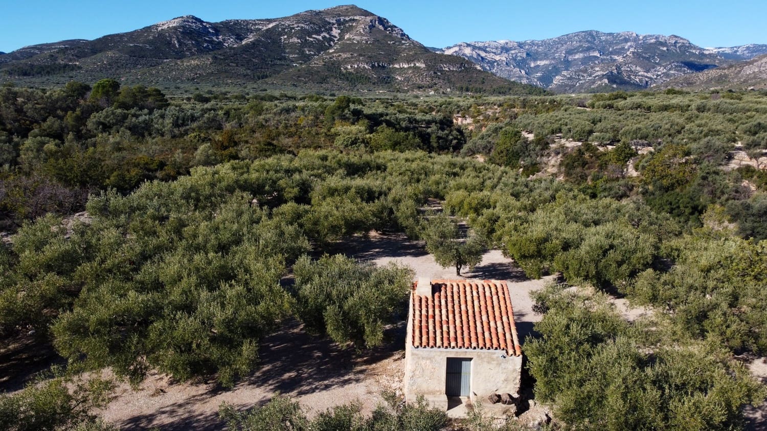 Finka/Dom wiejski na sprzedaż w Mas de Barberans - 20 000 € (Ref: 8323318)