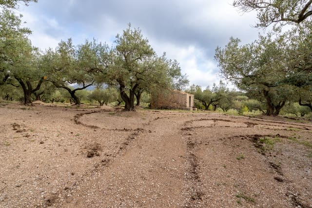 Finca/Herregård til salgs i Mas de Barberans - € 20 000 (Ref: 8323318)