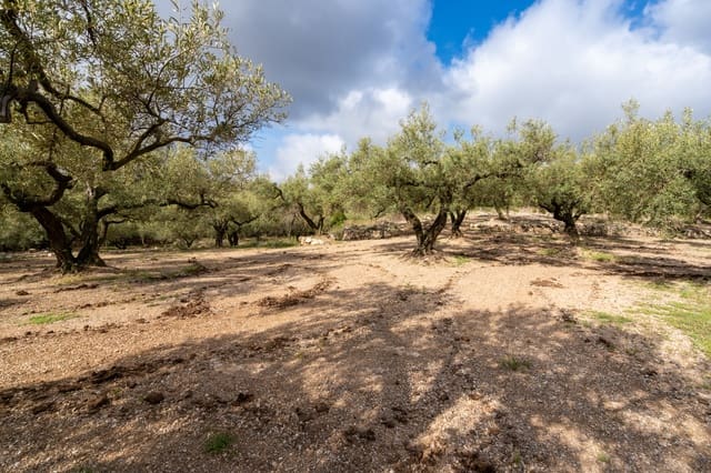 Finca/Herregård til salgs i Mas de Barberans - € 20 000 (Ref: 8323318)