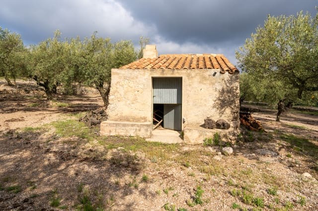 Finca/Herregård til salgs i Mas de Barberans - € 20 000 (Ref: 8323318)