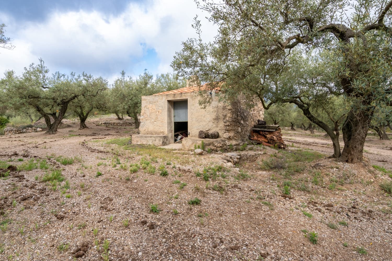 Finka/Dom wiejski na sprzedaż w Mas de Barberans - 20 000 € (Ref: 8323318)