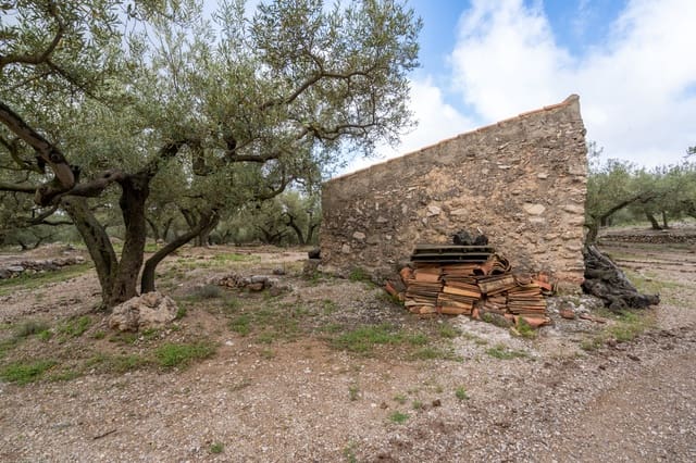 Finca/Herregård til salgs i Mas de Barberans - € 20 000 (Ref: 8323318)