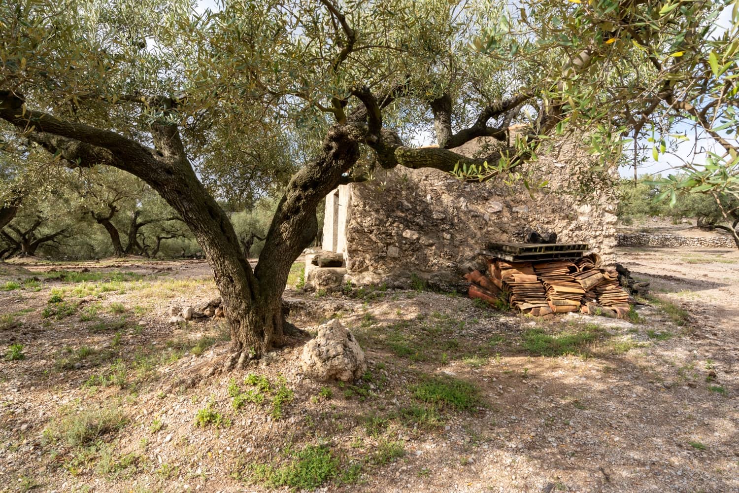 Finka/Dom wiejski na sprzedaż w Mas de Barberans - 20 000 € (Ref: 8323318)