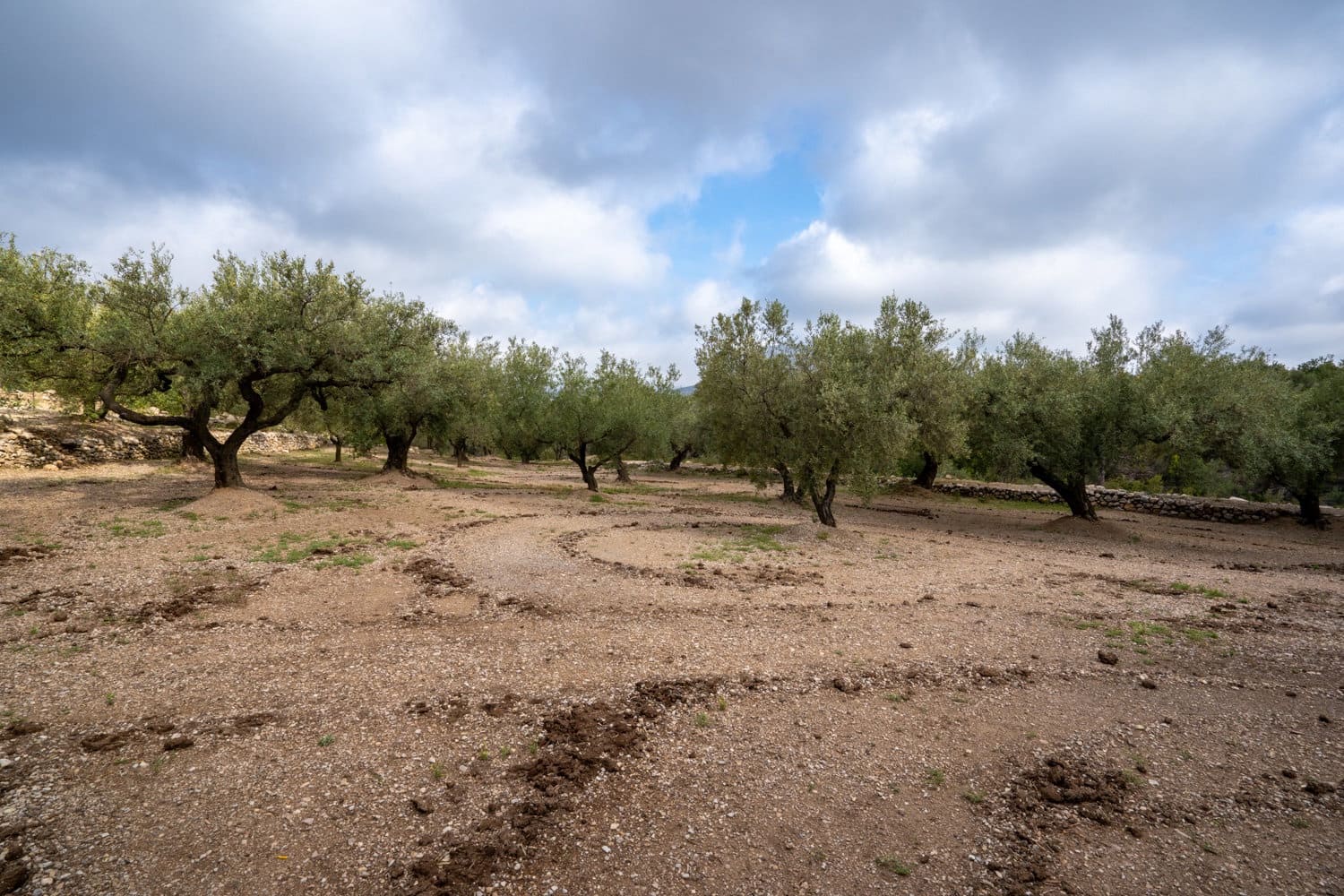 Finca/Landehus til salg i Mas de Barberans - € 17.000 (Ref: 8323318)