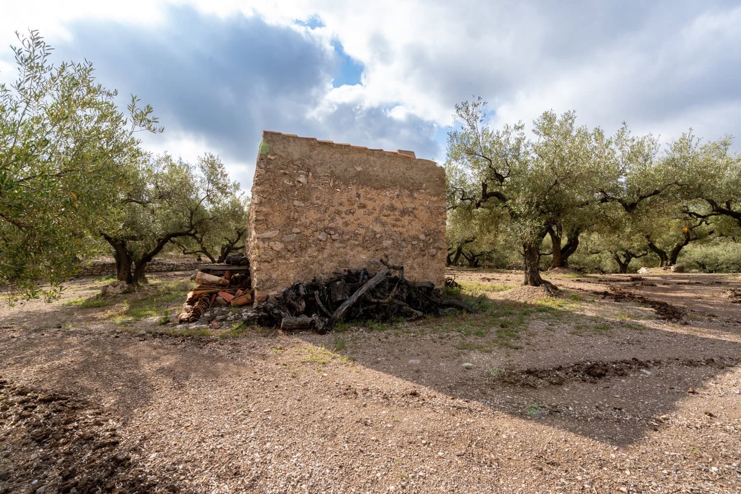 Finca/Landehus til salg i Mas de Barberans - € 17.000 (Ref: 8323318)