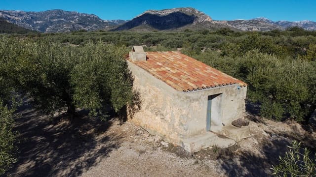 Maalaistalo myytävänä paikassa Mas de Barberans - 17 000 € (Ref: 8323318)